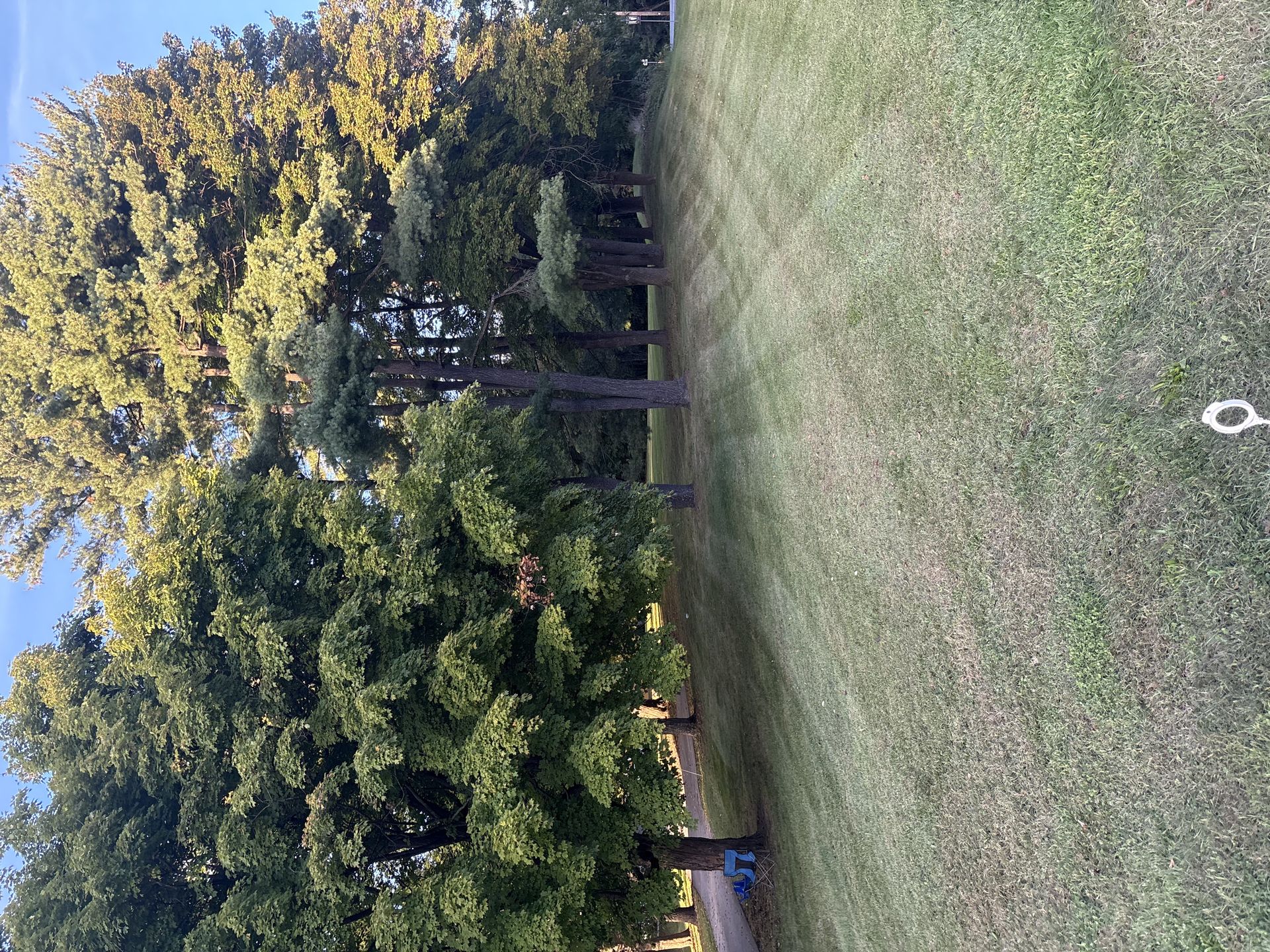 Chirico Landscaping project photo