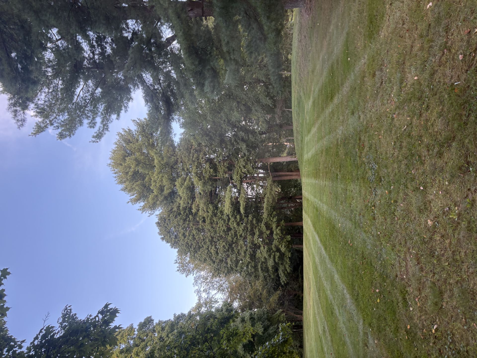 Chirico Landscaping project photo